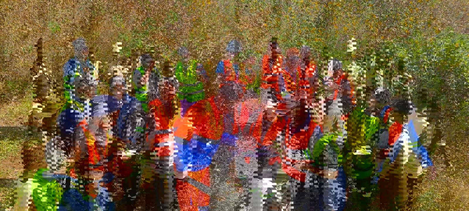  ?? Model.Project.Name